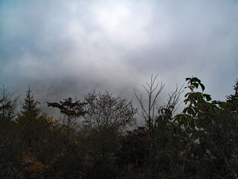 20171012hike (205)